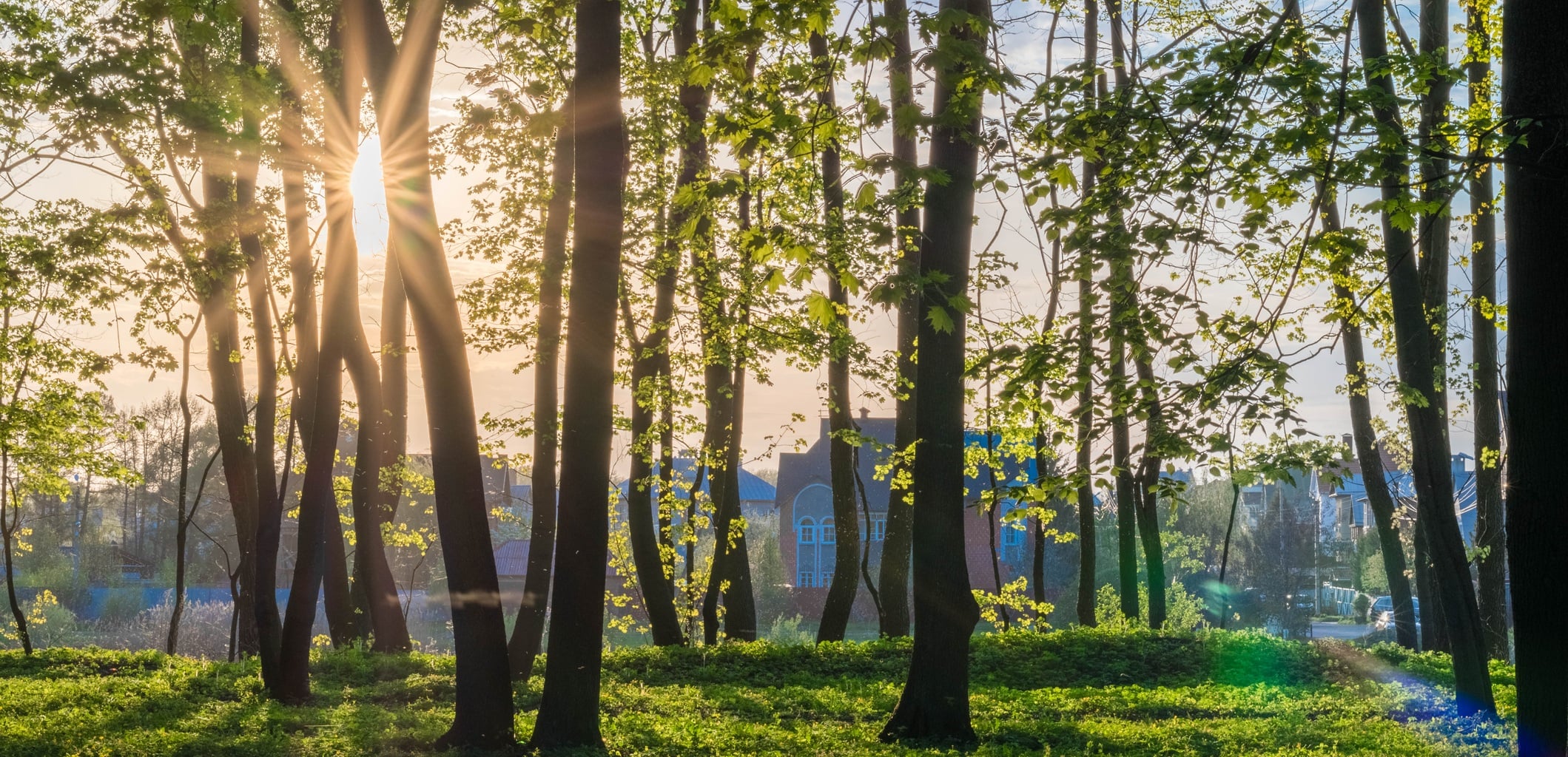 Article Header Image