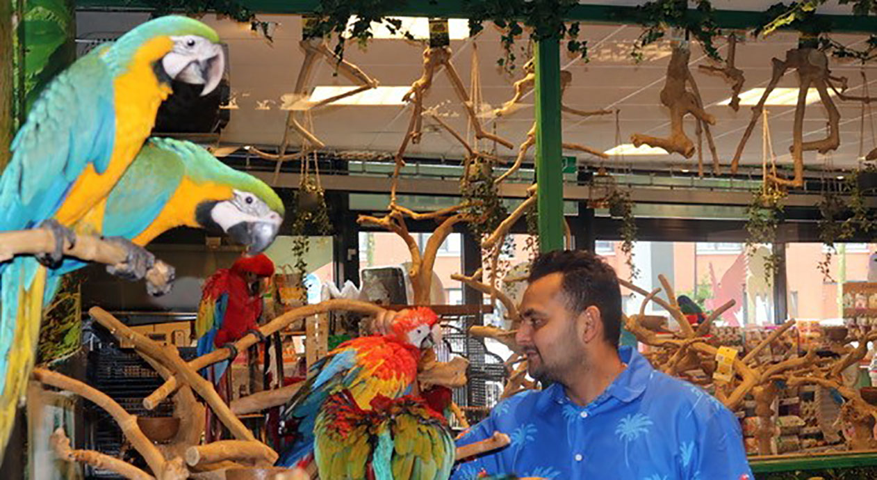 pariteit weduwe eten Ook papegaaien verdienen een paleis - Annexum